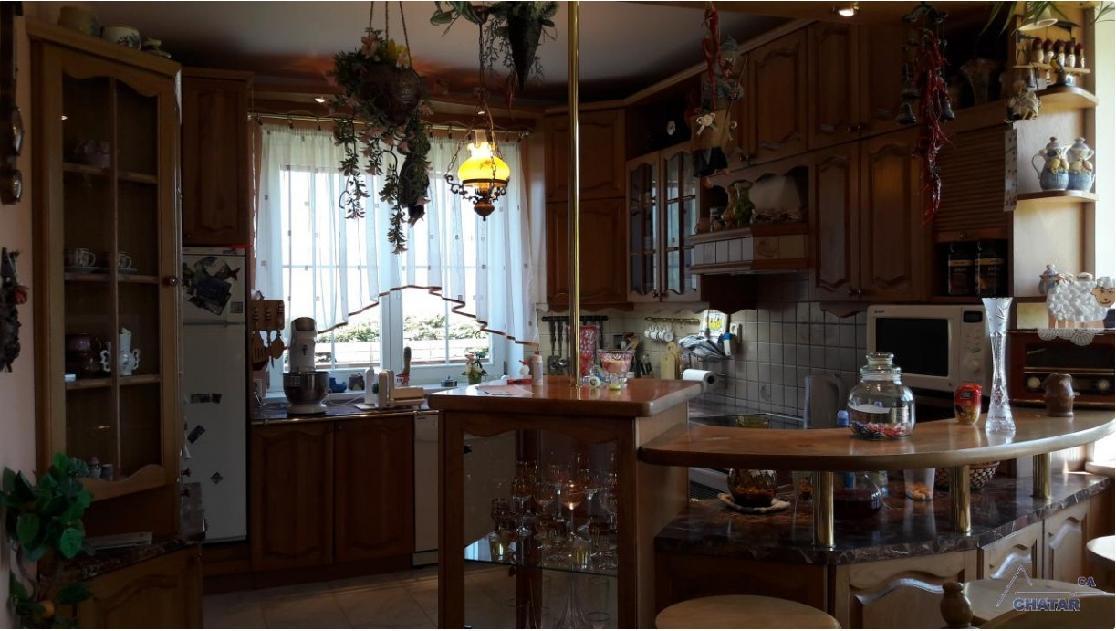 Vila V Jesenikach Bridlicna エクステリア 写真