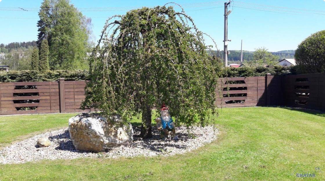 Vila V Jesenikach Bridlicna エクステリア 写真
