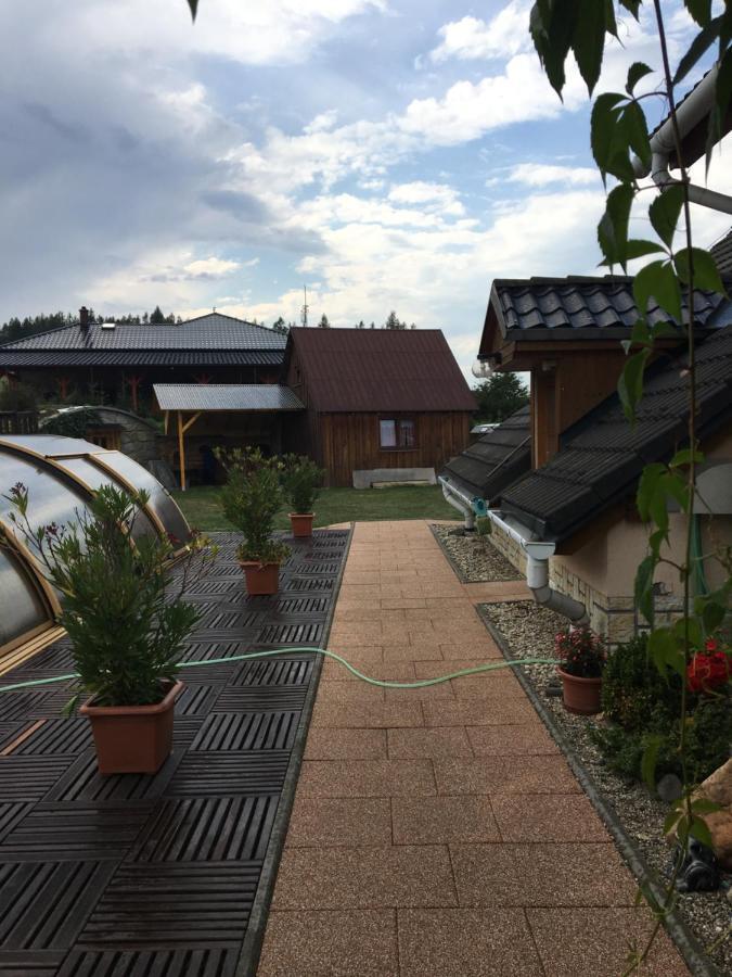 Vila V Jesenikach Bridlicna エクステリア 写真